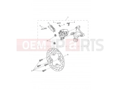 TRIUMPH STREET TRIPLE R 560477 > 806645 Rear Brake & Disc