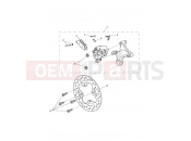 Triumph 2020 Street Triple RS > 966534 Rear Brake & Disc