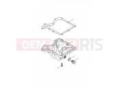 TRIUMPH AMERICA EFI Sump & Fittings