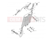 Triumph 2012 AMERICA EFI Oil Cooler