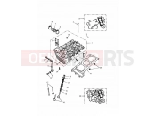Triumph 1995 TIGER 885 CARBS > 71698 Cylinder Head & Valves