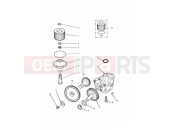 Triumph 1995 TIGER 885 CARBS > 71698 Lubrication System