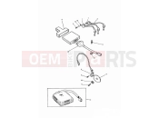 TRIUMPH TIGER 885 CARBS > 71698 Engine Management System