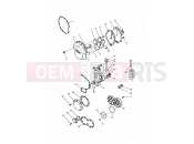 TRIUMPH TIGER 885 CARBS > 71698 Engine Covers