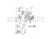 TRIUMPH TIGER 885 CARBS > 71698 Cooling System