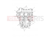 Triumph 2021 Tiger 850 Sport Crankcases