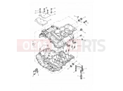 Triumph 1999 TIGER 885i 71699 > 124105 Crankcases