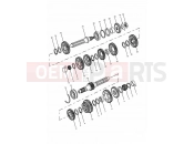 Triumph 1999 TIGER 885i 71699 > 124105 Transmission