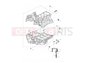 Triumph 2004 TIGER 955i 124106 > 198874 Crankcases