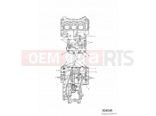 Triumph 2004 TIGER 955i 124106 > 198874 Crankcase Fixings