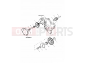 Triumph 2004 TIGER 955i 124106 > 198874 Alternator/ Starter Drive Gears
