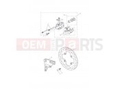 Triumph 2007 Tiger 1050 Rear Brake Caliper & Disc