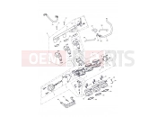 TRIUMPH Tiger 1050 Throttles,Injectors & Fuel Rail