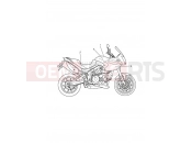 Triumph 2012 Tiger 1050 Decals