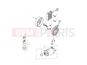 Triumph 2012 Tiger 1050 Starter & Alternator