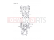 Triumph 2012 Tiger 1050 Crankcase Bolts