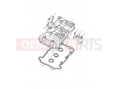 Triumph 2012 Tiger 1050 Cam Cover