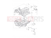Triumph 2012 Tiger 1050 Crankcase Fixings