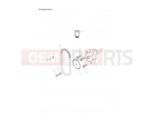 Triumph 2012 Tiger 1050 Oil Pump/Drive