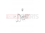 TRIUMPH TIGER SPORT 750470 > Oil Pump/Drive