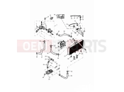 Triumph 1998 DAYTONA 595 / 955i Cooling System