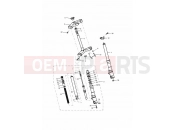 Triumph 1999 DAYTONA 595 / 955i Front Forks & Yokes