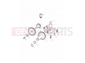TRIUMPH DAYTONA 595 / 955i Oil Pump/Drive