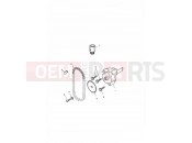 TRIUMPH DAYTONA 955i 132513 > Oil Pump & Drive