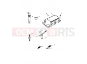 TRIUMPH DAYTONA 955i 132513 > Engine Management System