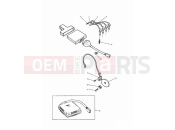 Triumph 1995 DAYTONA1200, 900 & SUPER III Ignition System