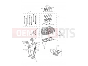 Triumph 2019 STREET CUP Cylinder Head & Valves