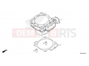 HONDA CRF450RXN CRF450RX 2022 E-5 CYLINDER