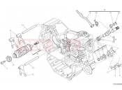 DUCATI Hypermotard 950 SP SHIFT CAM - FORK