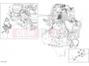 DUCATI Panigale V4 S ENGINE ELECTRIC SYSTEM