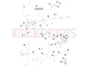 HUSABERG 2012 Offroad TE 250 (2360L9) [AU] WIRING HARNESS|Frame|11