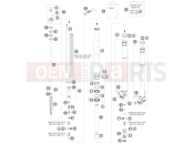 HUSABERG 2009 Offroad FE 450 (2303I3) [EU] FRONT FORK DISASSEMBLED|Frame|01