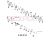 HUSABERG 2009 Offroad FE 450 (2303I3) [EU] TRANSMISSION II - COUNTERSHAFT|Engine|33