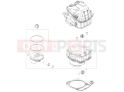 HUSABERG 2011 Offroad FE 570 (2403K3) [EU] CYLINDER