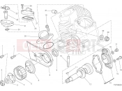 DUCATI 2022 Scrambler Icon HORIZONTAL HEAD – TIMING SYSTEM