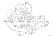 DUCATI Scrambler 1100 Tribute Pro WIRING HARNESS (COIL)