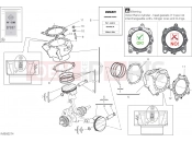 DUCATI XDiavel Nera CYLINDERS - PISTONS (ASSO WERKE)