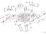 DUCATI Monster Plus VERTICAL HEAD