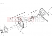 DUCATI Monster Plus REAR WHEEL [XCO:AG]