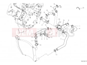 DUCATI Panigale V4 SP2 COOLING CIRCUIT