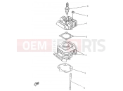 YAMAHA CW50RS BOOSTER NEXT GENERATION (4TD1) 1995 CYLINDER