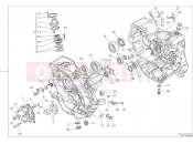 DUCATI Monster 821 Stripe HALF-CRANKCASES PAIR [MOD:M821 STR]