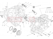 DUCATI Monster 1200 S Stripe HALF-CRANKCASES PAIR [MOD:M1200STR]
