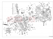 DUCATI 2021 Monster HALF-CRANKCASES PAIR [MOD:M937]
