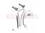 YAMAHA YZ 450 F YZ450F (B2W2) 2020 CAMSHAFT & CHAIN