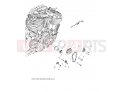 INDIAN 2020 CHIEFTAIN ELITE (R05) (N20TCEBB) ENGINE » ENGINE, CAM CHAIN and SPROCKETS - ALL OPTIONS (49INDIANCAM141)